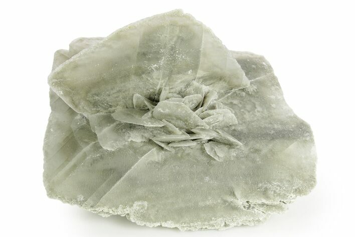 Selenite Crystal - Box Elder County, Utah #369284